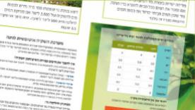 דוחות כספיים