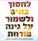 לחסוך במים ולשמור על גינה פורחת
